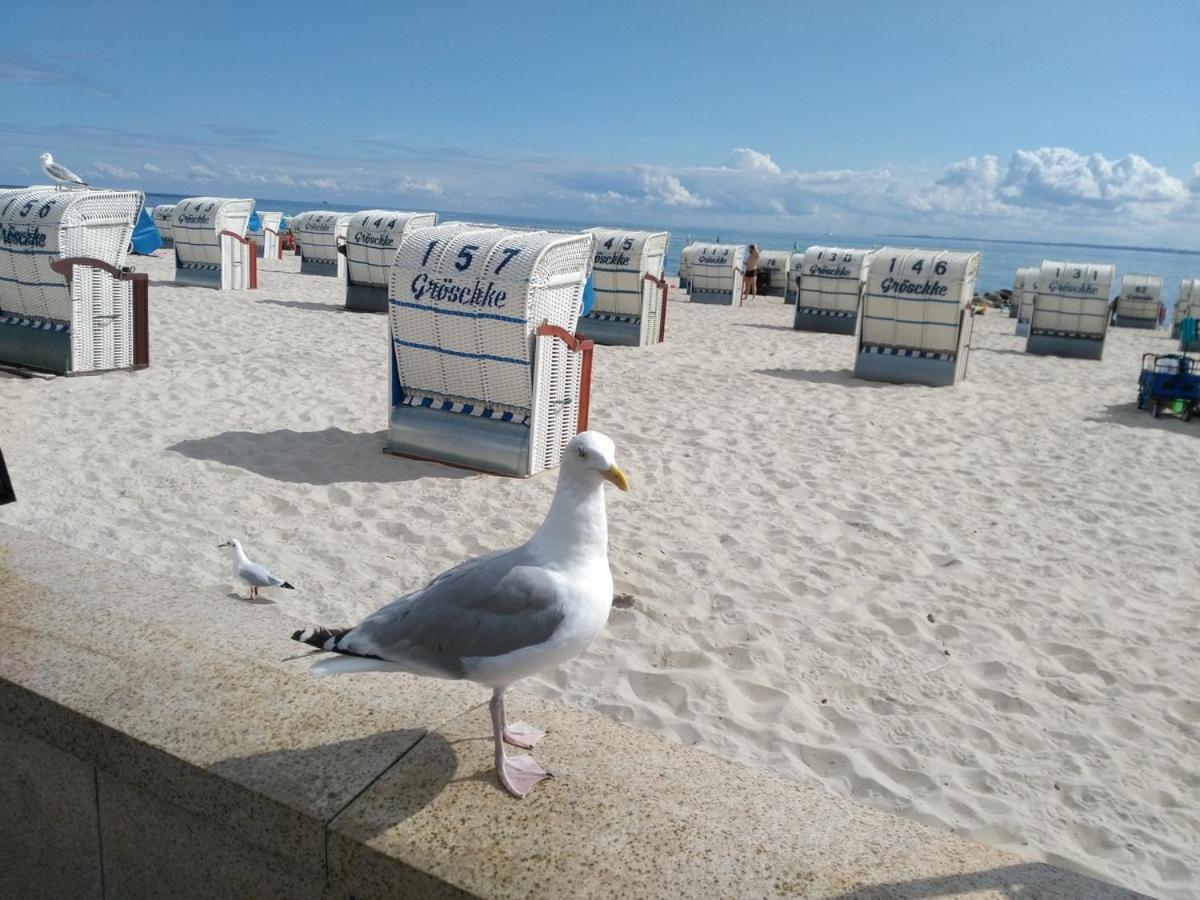 Ostsee Fewo By Wolf Grömitz Eksteriør bilde